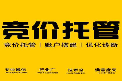 SEM竞价入门指南，经典案例分享